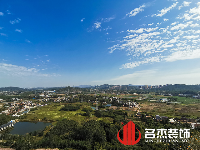 办公室粉色视频网站设计