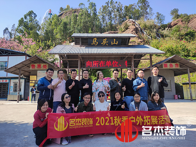 办公室粉色视频网站设计