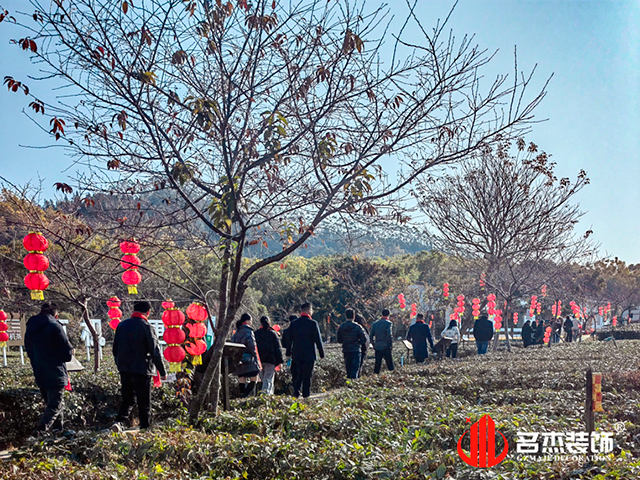 粉色视频网站公司