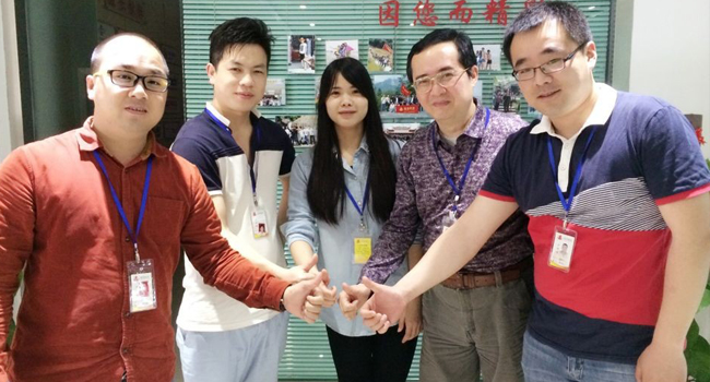 粉色视频导航风采-团队展示