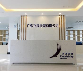 祝贺飞仕商城办公室粉色视频网站项目完工